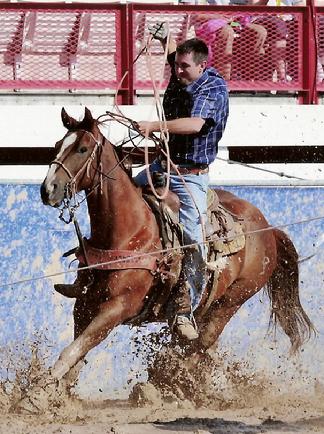Roping Horses For Sale In Texas. Horses,team roping young